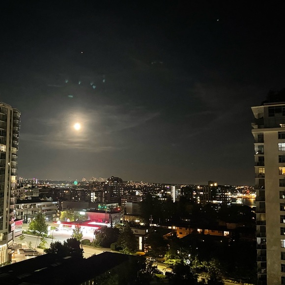 Meet your Posher, Mitra - Picture 1 of 1